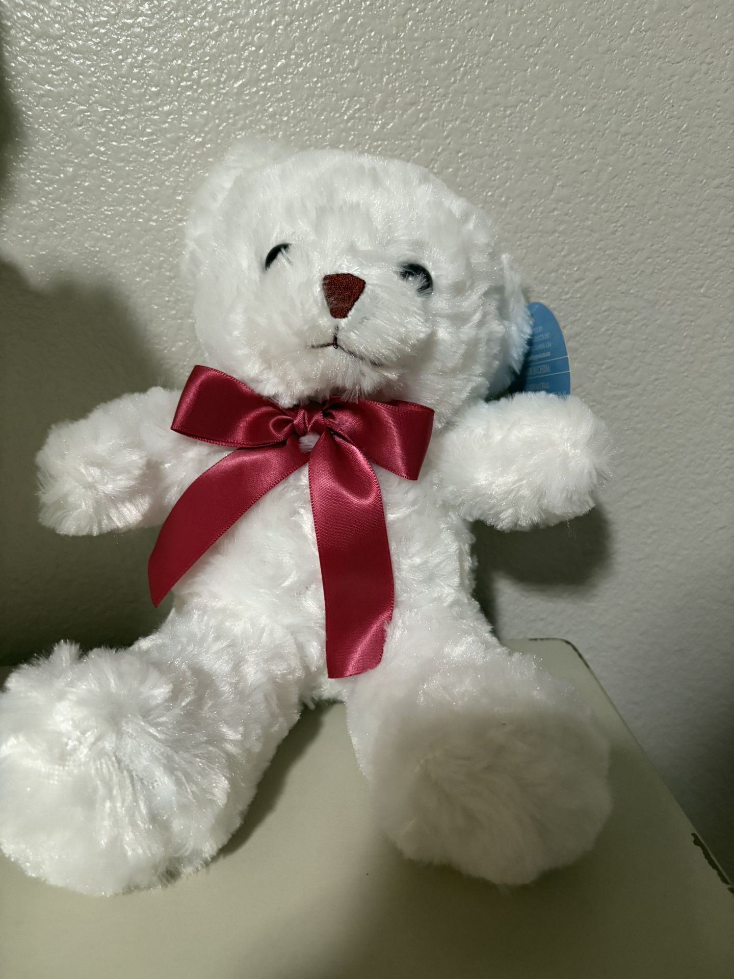 Teddy Bear