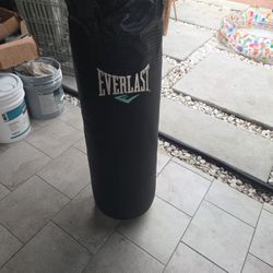 Everlast  Boxing Bag 