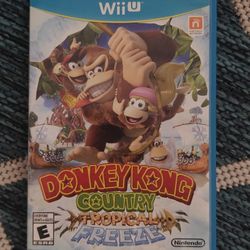 Donkey Kong Country