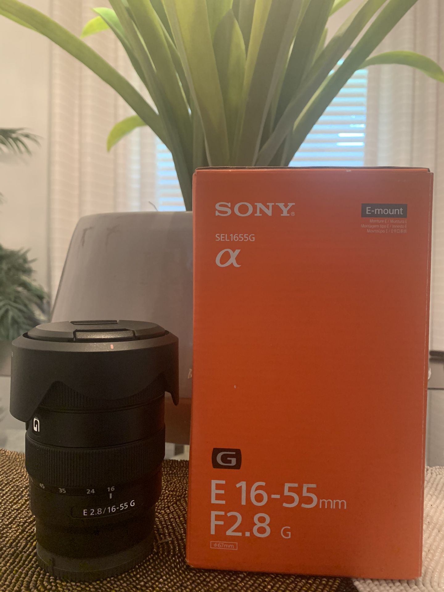 Sony E 16-55mm f2.8