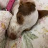 Check Out My Other Stuff! 