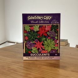 Sensory Clay Floral Collection Succulents