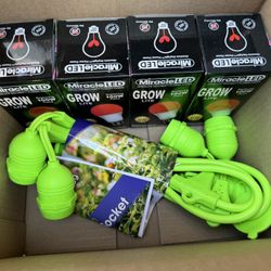 Miracle LED Greenhouse in a Box Grow Kit for Indoor Plants - Includes 4 Absolute Daylight Red Spectrum 100W Replacement Grow Light Bulbs & 1 4-Socket 