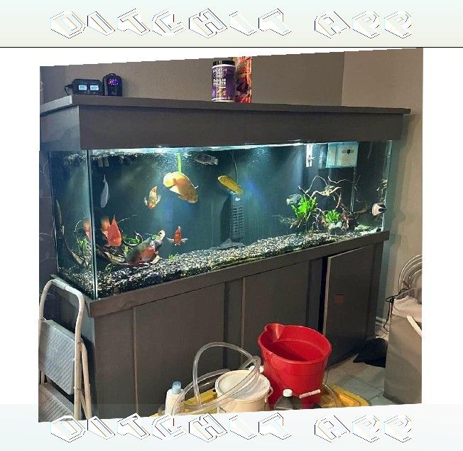 instead continue High-Quality Aquarium System - Premium Standard Choice