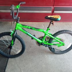20 Inch Boy Or Girl Bike