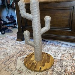 Cactus cat scratch post