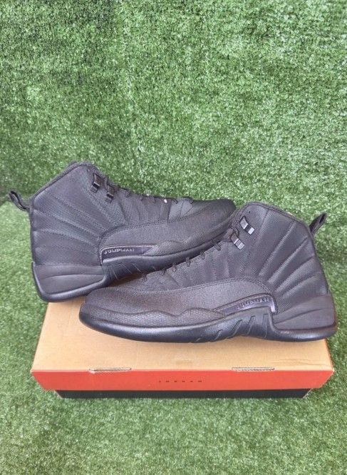 Jordan Retro 12 Winterized Black Cat🐈‍⬛