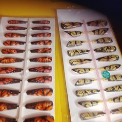 Long Stelto Press On Nails