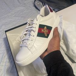 Gucci Trainers