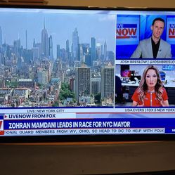 Insignia 48 Inch TV, 1080p LED Television + Heavy Duty Full Motion Wall Mount (for 47–84" TVs)- Firm Price