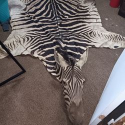 A Zebra Rug(real)