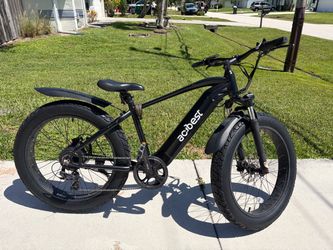 Electric bike