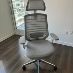 Office chair - Branch (home Office Brand)