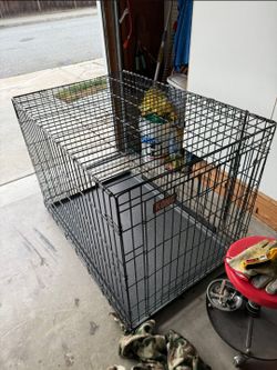 Kong crate
