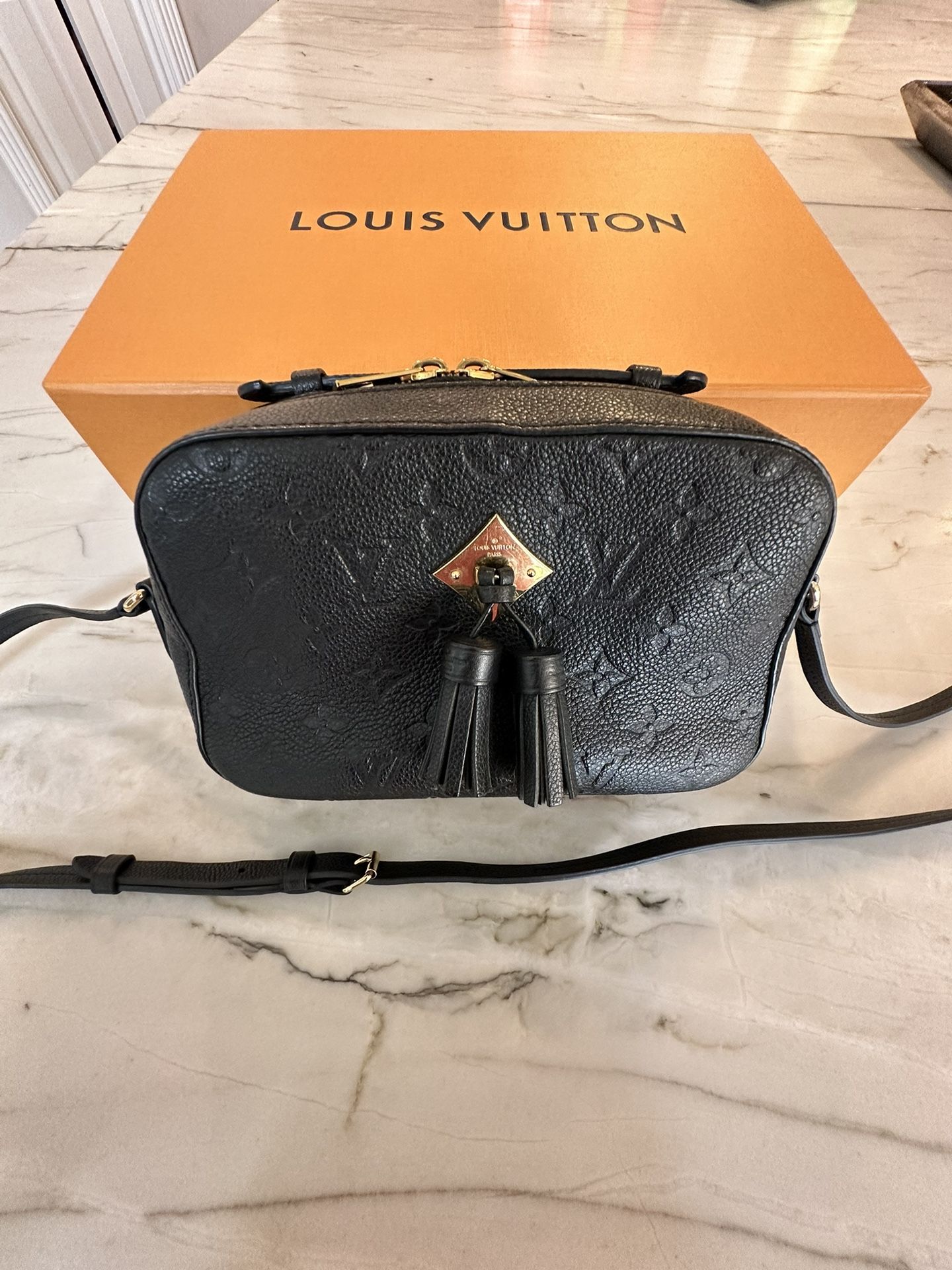 Louis Vuitton Black saintonge Purse