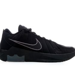 LeBron Witness 1X ( Brand New)