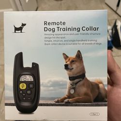 Dog Training collar (with Remote) 