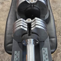 Select weight dumbell 25lbs each