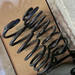 Trailblazer SS Rear Springs (Stock Height) 