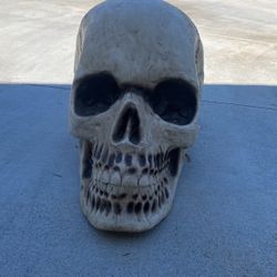 Skeleton Skull
