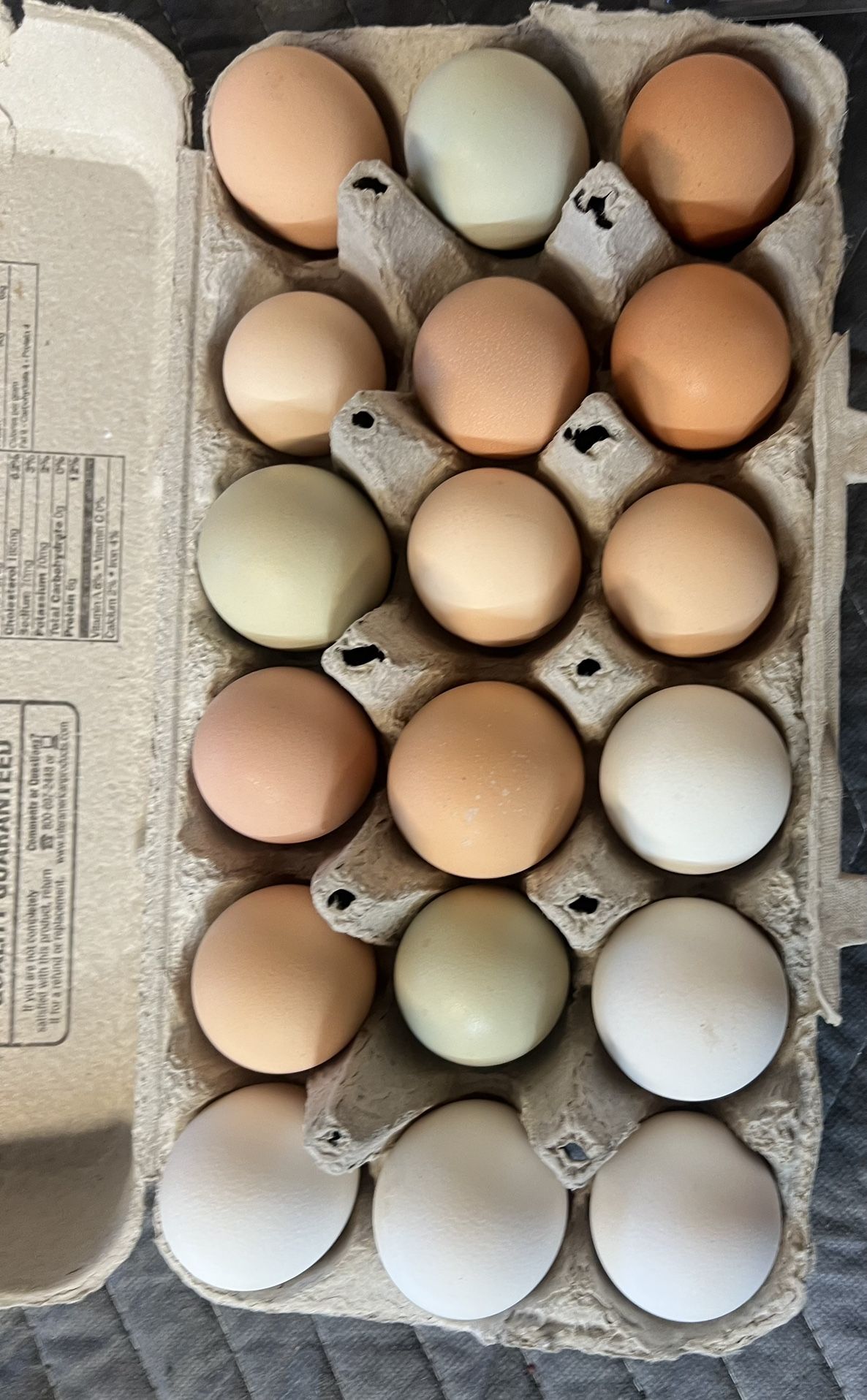 Fresh Eggs