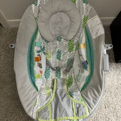 Baby Bouncer
