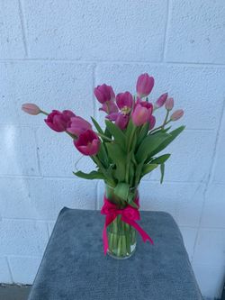 Beautiful Tulips 🌷