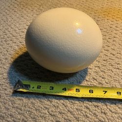 *Ostrich Eggs for Sale!**