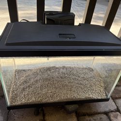 Fish aquarium