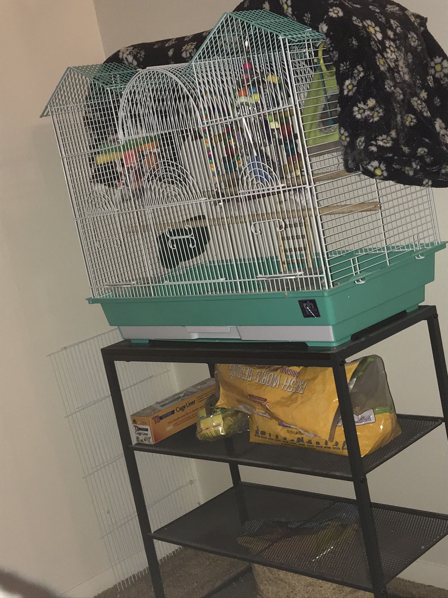 Bird Cage