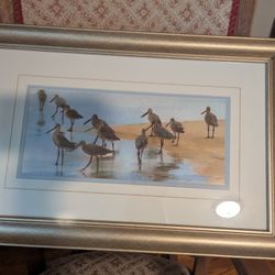 Framed Print 