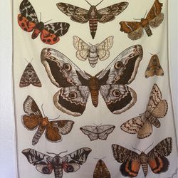 Cloth moth tapestry