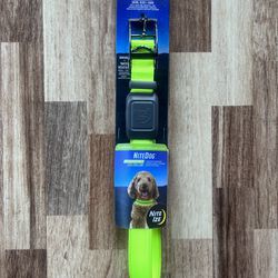 Dog Collar  Medium Size  Rechargeable LED Lights