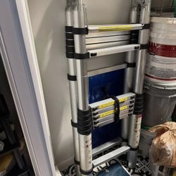 Telescoping Ladder