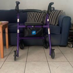 Se Vende  Silla Caminadora   Con bolsa bajo el Aciento 