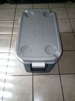 Ice cooler