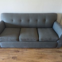 Love seat couch  paired with family size couch
