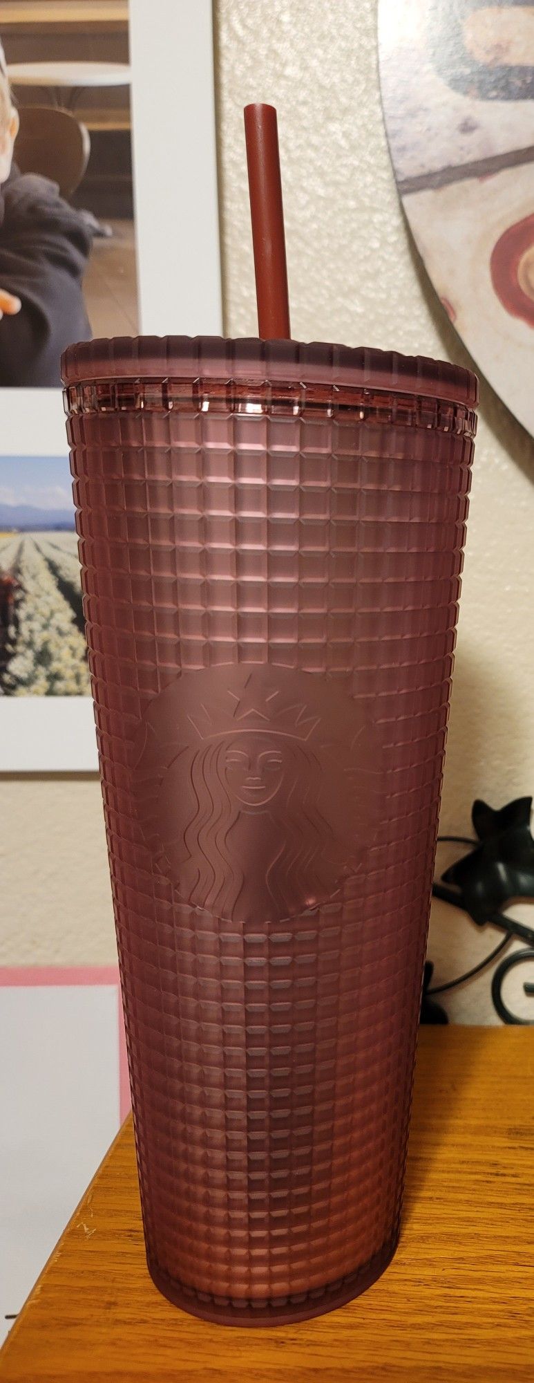 Venti Starbucks Tumblers (24 oz)