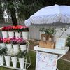 Bloom Bar 