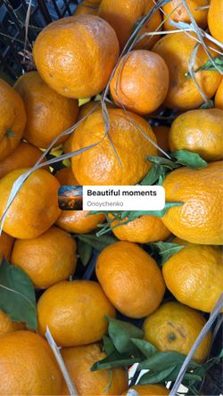 Biodynamic Sweet tangerines 10 lbs