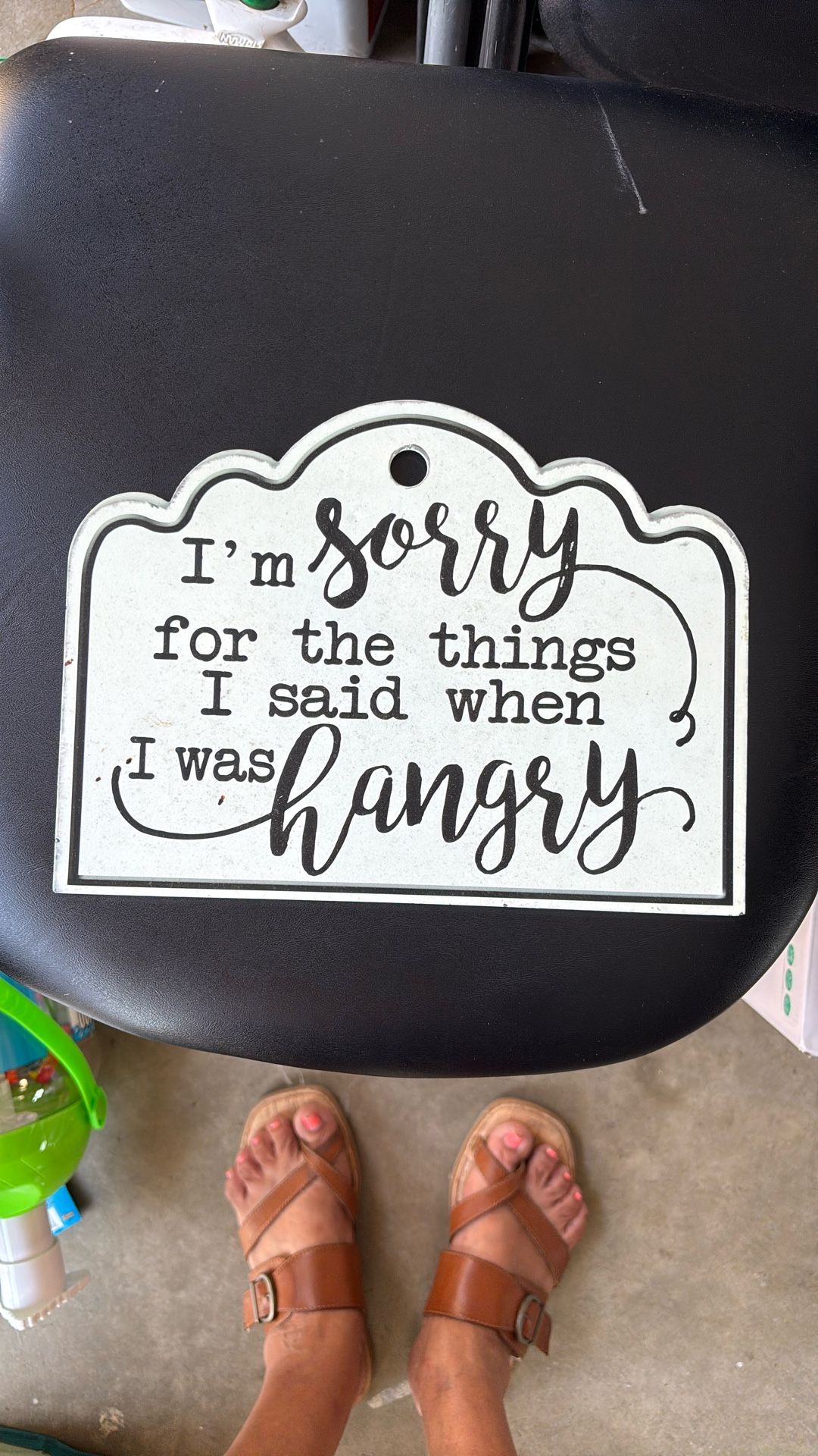 Metal Sign For Kitchen I’m Sorry For The Things I Said When I Was Hangry