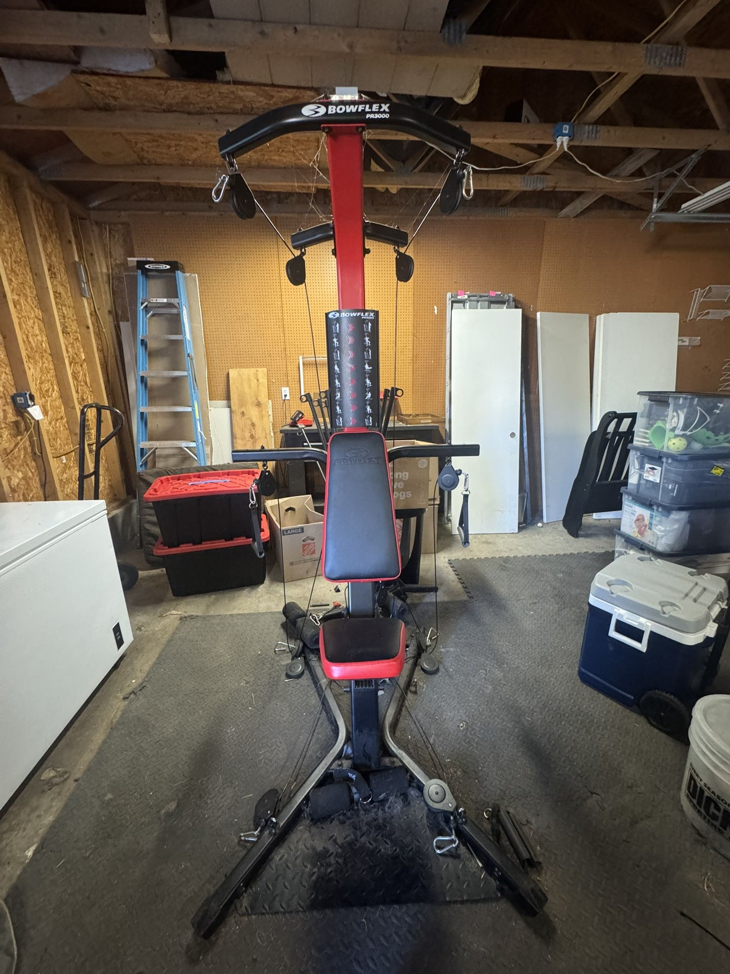 Bowflex PR3000