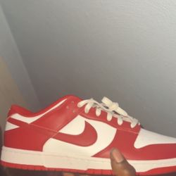 USC Dunks 