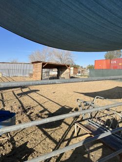 Horse Stable 