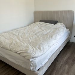 Queen Bed Frame & Mattress