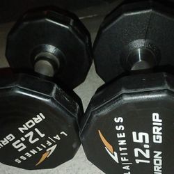 12.5lbs Dumbbells 