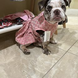 Dog Dresses , Dog Harness