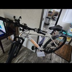 Bike with air pump and chain lock