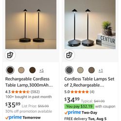 Cordless & Portable Table Lamps