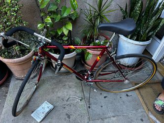 New bike racing 1998 roadmaster